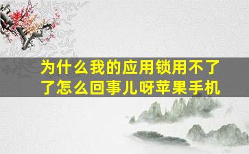 为什么我的应用锁用不了了怎么回事儿呀苹果手机