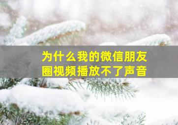 为什么我的微信朋友圈视频播放不了声音