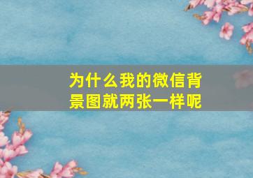 为什么我的微信背景图就两张一样呢