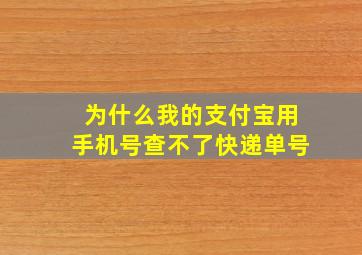 为什么我的支付宝用手机号查不了快递单号