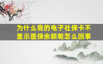 为什么我的电子社保卡不显示医保余额呢怎么回事