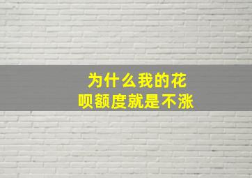 为什么我的花呗额度就是不涨