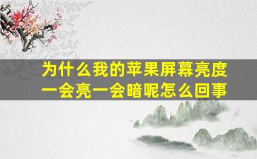 为什么我的苹果屏幕亮度一会亮一会暗呢怎么回事