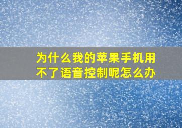 为什么我的苹果手机用不了语音控制呢怎么办