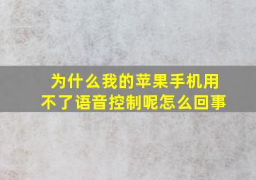 为什么我的苹果手机用不了语音控制呢怎么回事