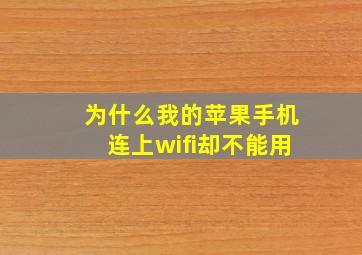 为什么我的苹果手机连上wifi却不能用