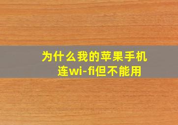 为什么我的苹果手机连wi-fi但不能用