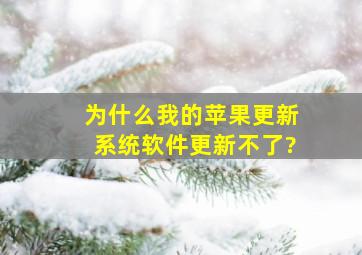 为什么我的苹果更新系统软件更新不了?