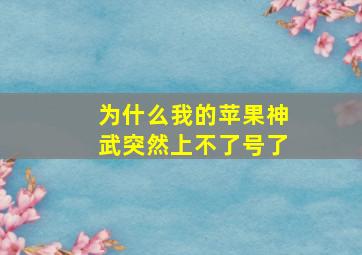 为什么我的苹果神武突然上不了号了