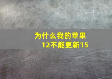 为什么我的苹果12不能更新15