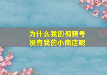 为什么我的视频号没有我的小商店呢