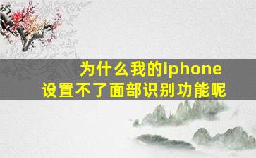 为什么我的iphone设置不了面部识别功能呢