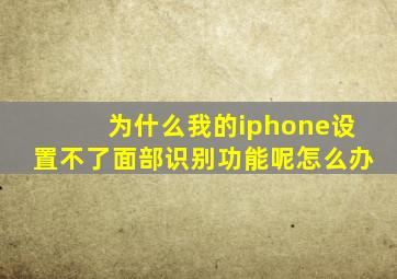 为什么我的iphone设置不了面部识别功能呢怎么办