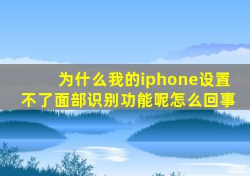 为什么我的iphone设置不了面部识别功能呢怎么回事