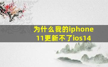 为什么我的iphone11更新不了ios14