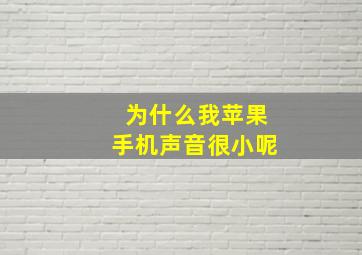 为什么我苹果手机声音很小呢