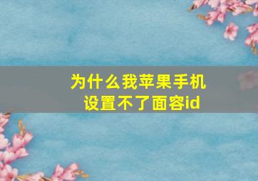 为什么我苹果手机设置不了面容id