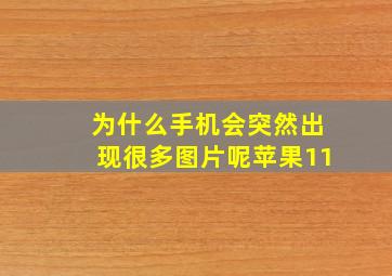 为什么手机会突然出现很多图片呢苹果11