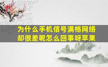 为什么手机信号满格网络却很差呢怎么回事呀苹果