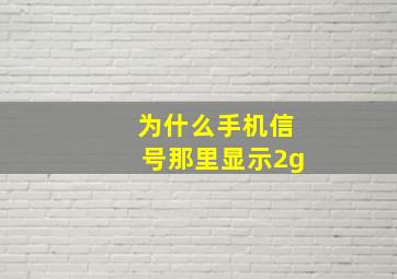 为什么手机信号那里显示2g