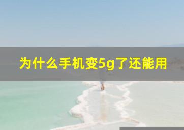 为什么手机变5g了还能用