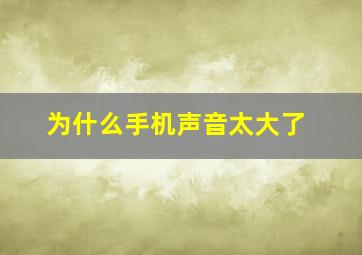 为什么手机声音太大了