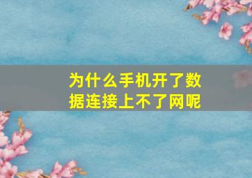 为什么手机开了数据连接上不了网呢