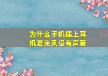 为什么手机插上耳机麦克风没有声音