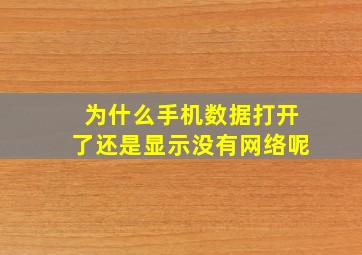 为什么手机数据打开了还是显示没有网络呢