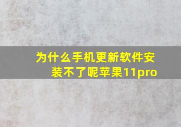 为什么手机更新软件安装不了呢苹果11pro