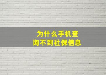 为什么手机查询不到社保信息