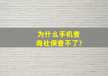 为什么手机查询社保查不了?