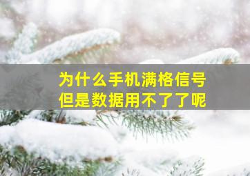 为什么手机满格信号但是数据用不了了呢