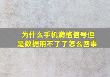 为什么手机满格信号但是数据用不了了怎么回事