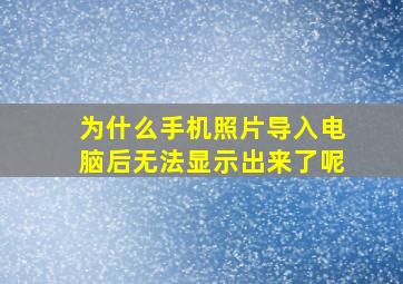 为什么手机照片导入电脑后无法显示出来了呢