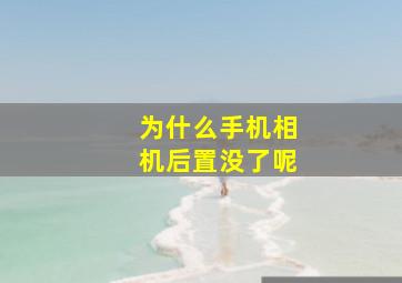 为什么手机相机后置没了呢