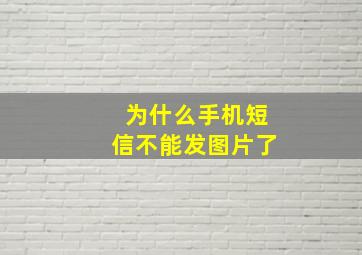 为什么手机短信不能发图片了