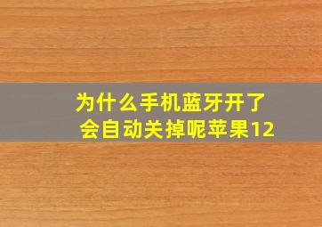 为什么手机蓝牙开了会自动关掉呢苹果12