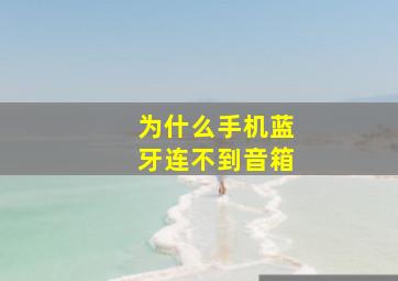 为什么手机蓝牙连不到音箱