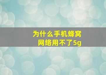 为什么手机蜂窝网络用不了5g