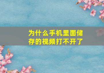 为什么手机里面储存的视频打不开了