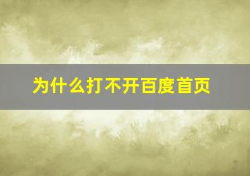 为什么打不开百度首页