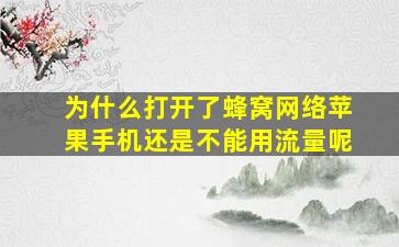 为什么打开了蜂窝网络苹果手机还是不能用流量呢