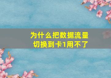 为什么把数据流量切换到卡1用不了