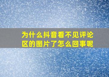 为什么抖音看不见评论区的图片了怎么回事呢