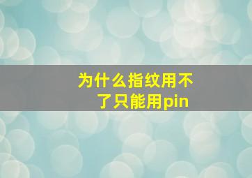 为什么指纹用不了只能用pin