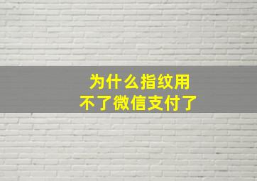 为什么指纹用不了微信支付了