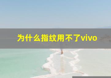 为什么指纹用不了vivo