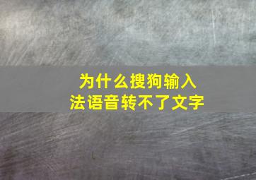 为什么搜狗输入法语音转不了文字