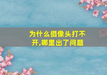 为什么摄像头打不开,哪里出了问题